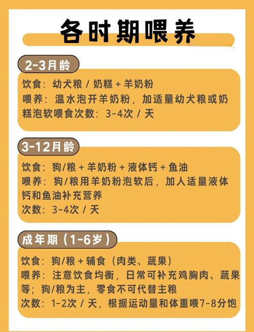 纯种金毛犬_纯种金毛是什么样_纯种金毛的标准