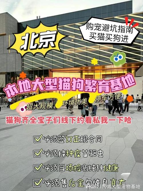 北京卖狗的宠物市场_北京个人宠物狗转让_北京宠物狗出售