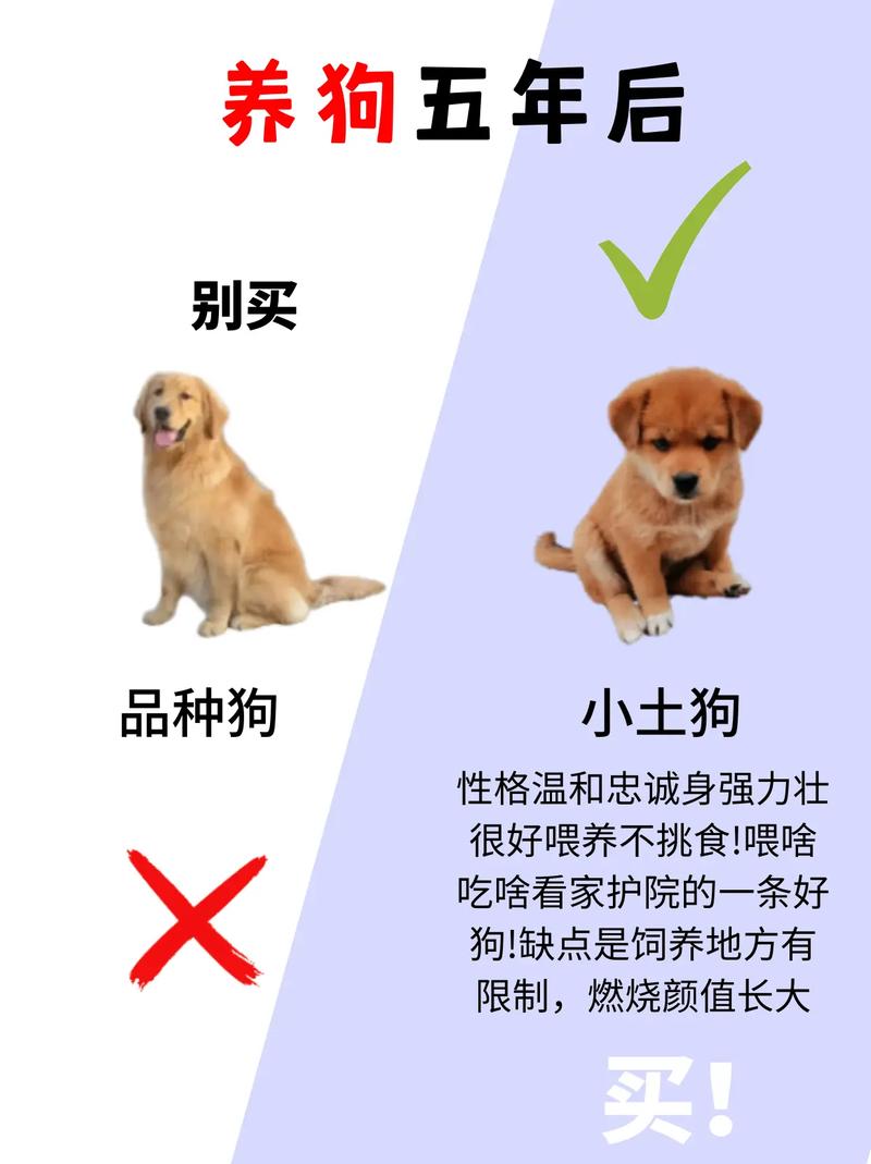 上海哪有宠物狗市场_上海专卖宠物狗店电话_上海宠物狗专卖店