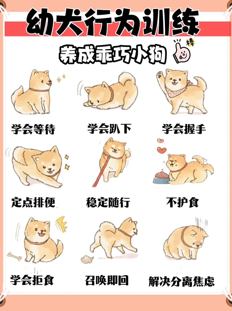 茶杯犬_茶杯犬哪里有卖_茶杯犬图片
