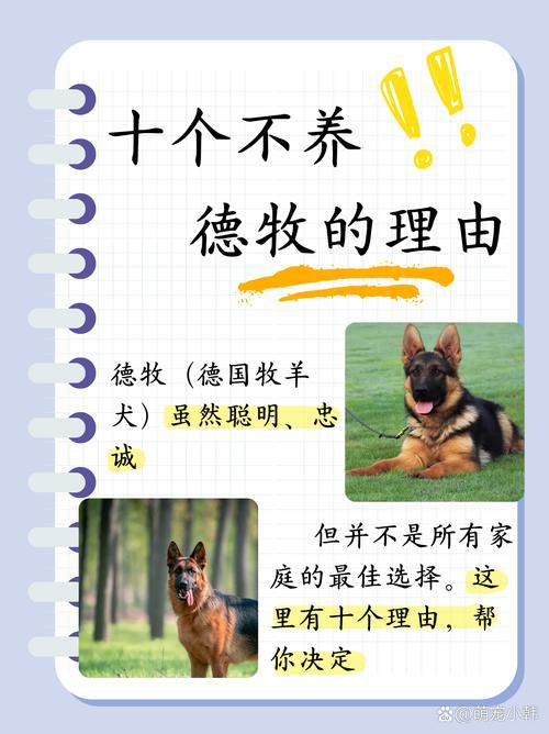犬德牧窝咳可以吃人吃的药吗_德牧犬_犬德牧罗威纳白狼吃什么