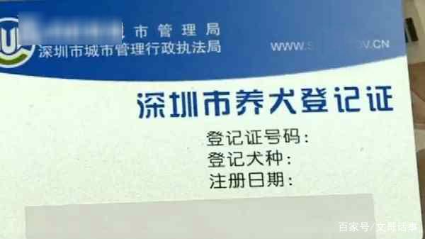 狗咬人事件增多邻居称胡先生养了一条大黑狗