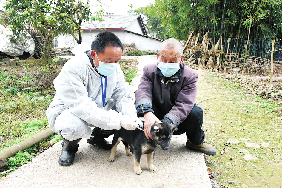 狂犬病 病狗_带狂犬病毒的狗能吃吗_携带狂犬病毒的狗症状