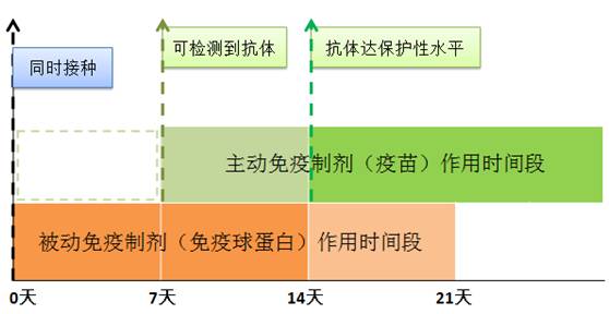 打了疫苗仍发作身亡，对于狂犬病这7个问题你知道吗？