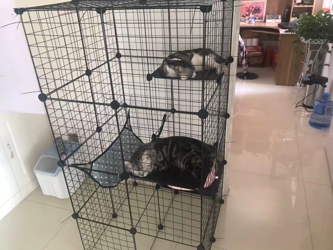 猫咪诱捕笼_猫咪诱捕笼_诱捕笼