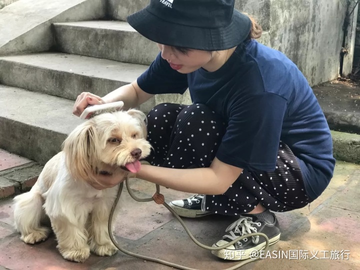 领养狗协议_狗狗领养协议有什么用_泰迪茶杯狗领养