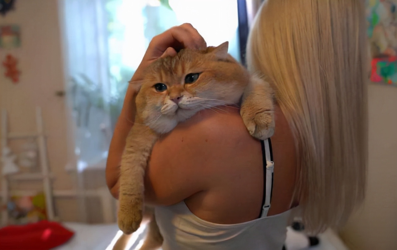 抱猫姿势讲究多！你的抱抱，猫咪真的喜欢吗？