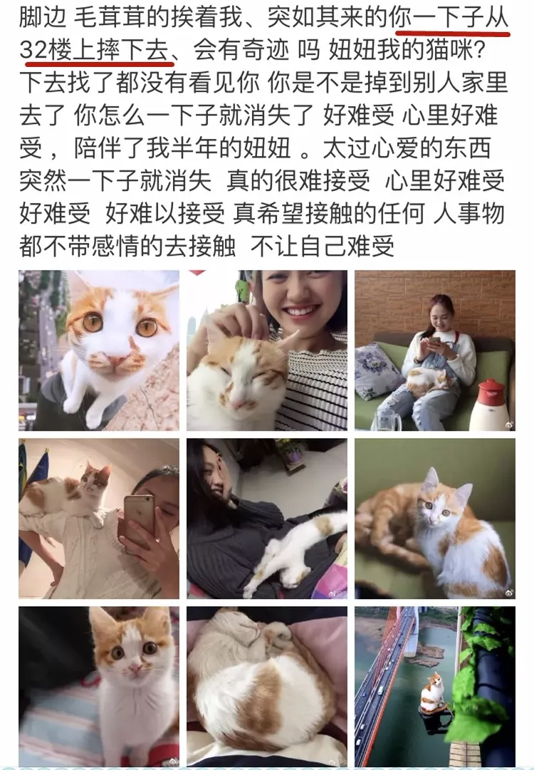 猫猫兔喜欢主人摸哪里?_猫咪喜欢主人摸哪里_猫咪喜欢和主人睡觉