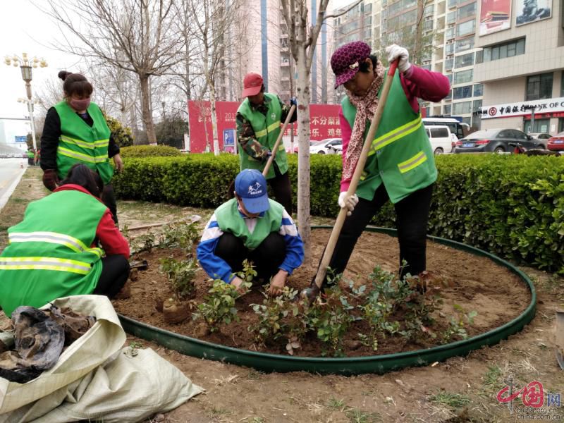 养一只猫一只狗还是养两只狗_邯郸市养狗投诉热线_泰迪狗茶杯狗好养吗