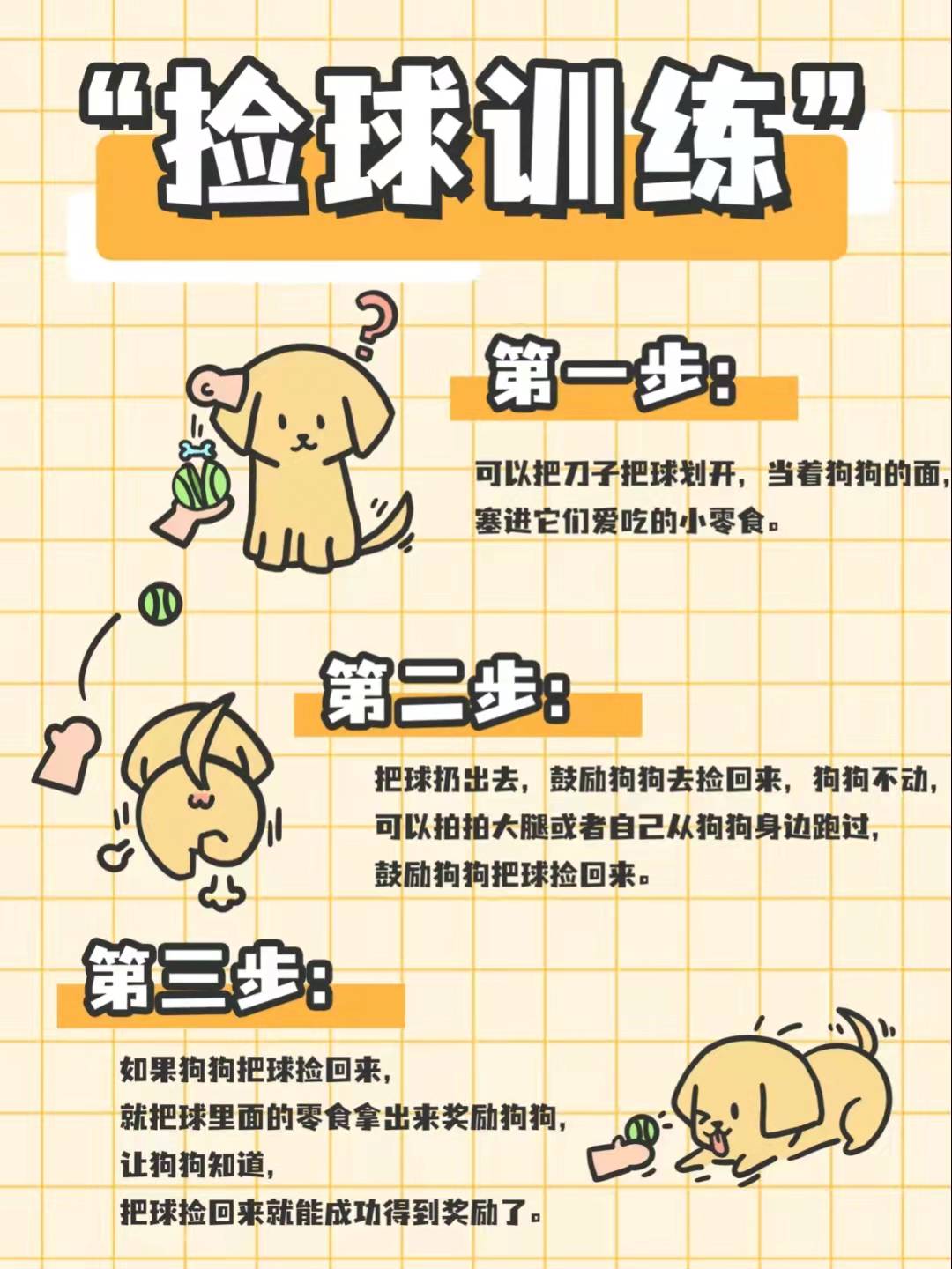 金毛犬到底怎么训练的？网友：家有“废狗”