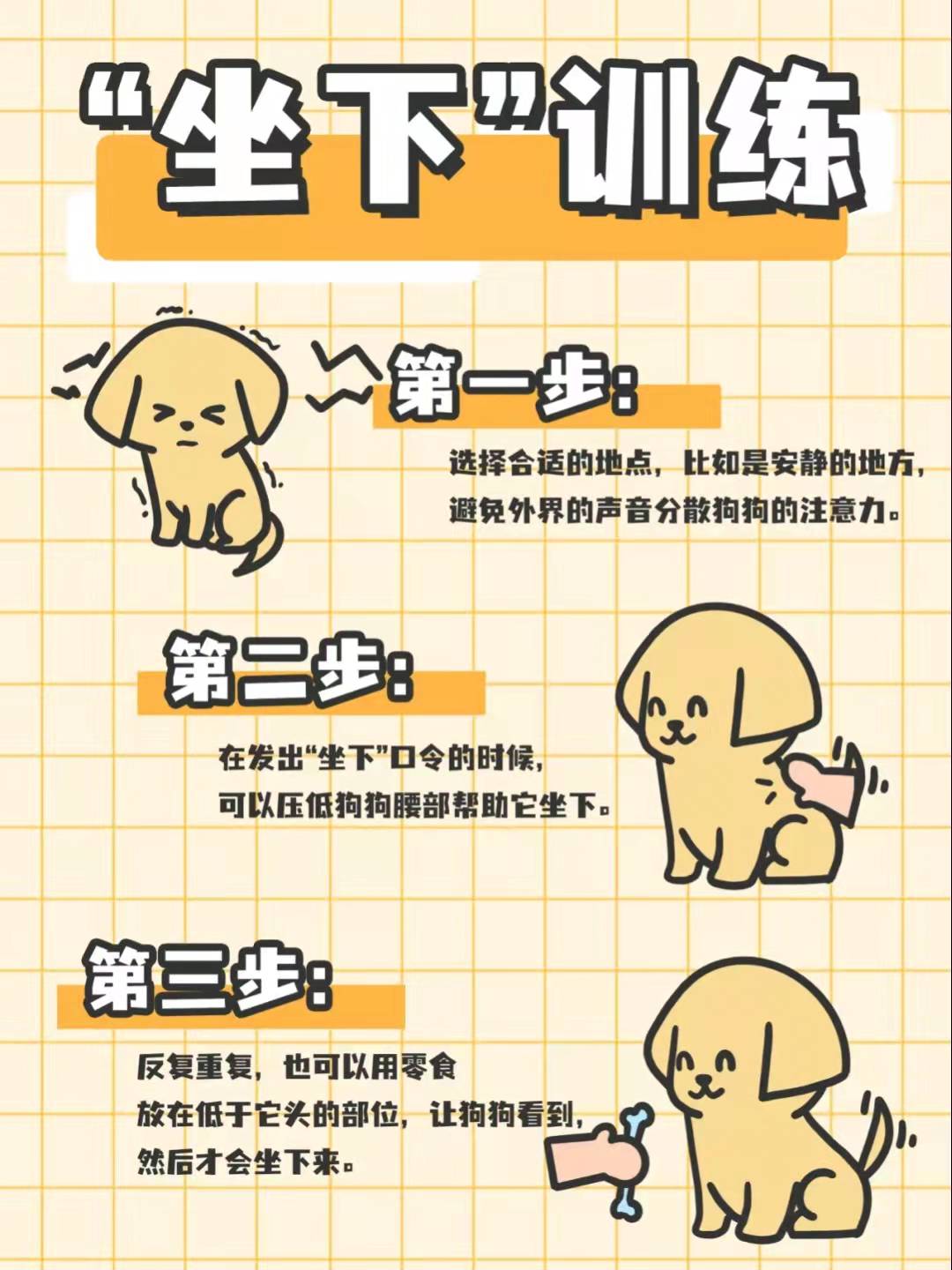 金毛犬到底怎么训练的？网友：家有“废狗”