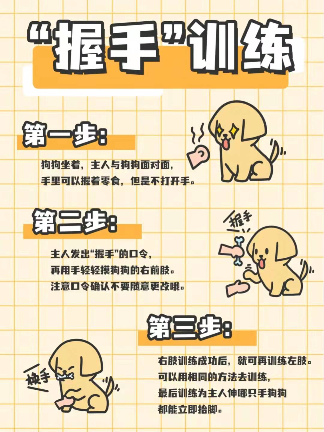 金毛犬到底怎么训练的？网友：家有“废狗”