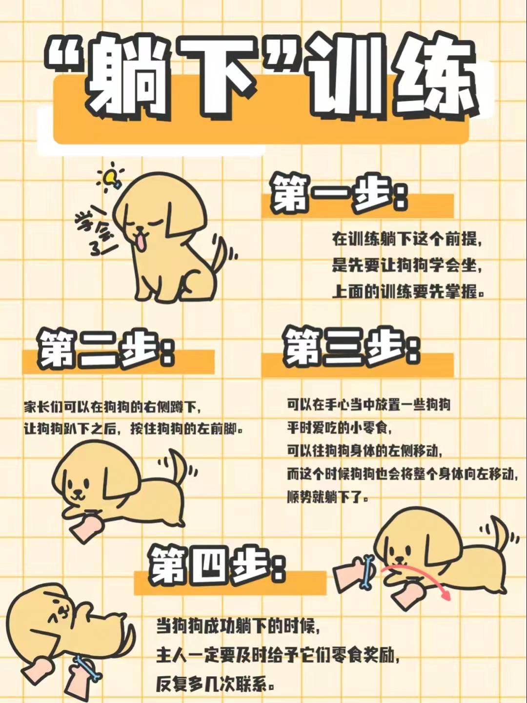 金毛犬到底怎么训练的？网友：家有“废狗”