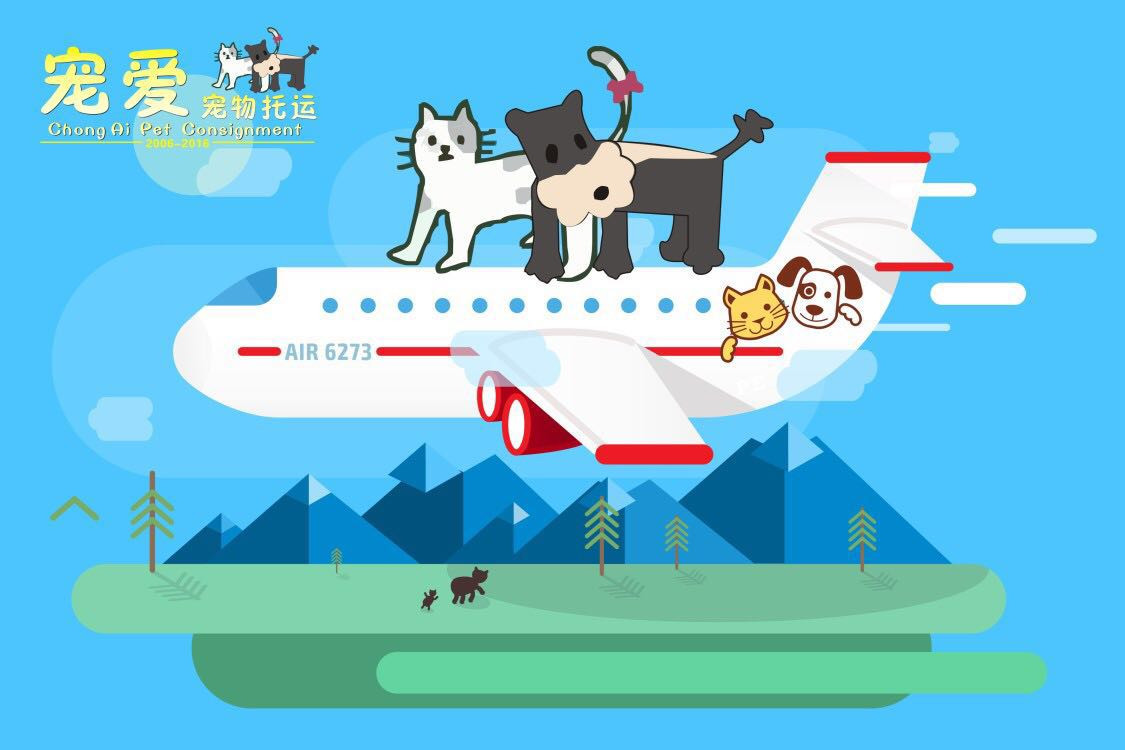 飞机托运猫咪安全么_飞机猫咪怎么托运_飞机猫咪托运多少钱