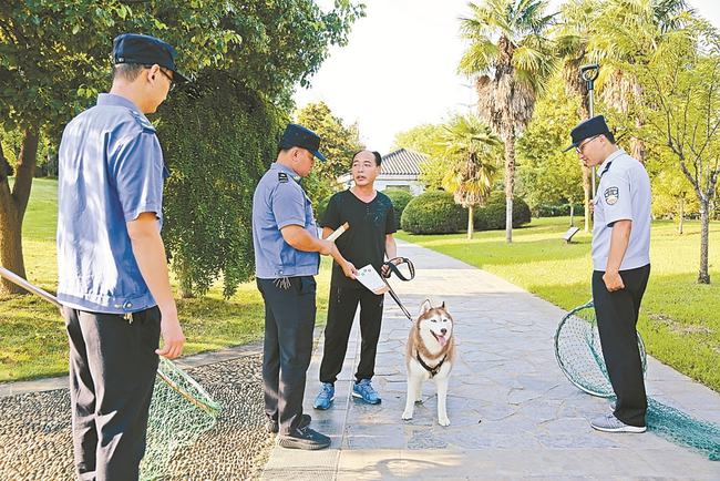 上班养串串狗好不好养_邯郸市养狗投诉热线_养两只狗要几个狗厕所