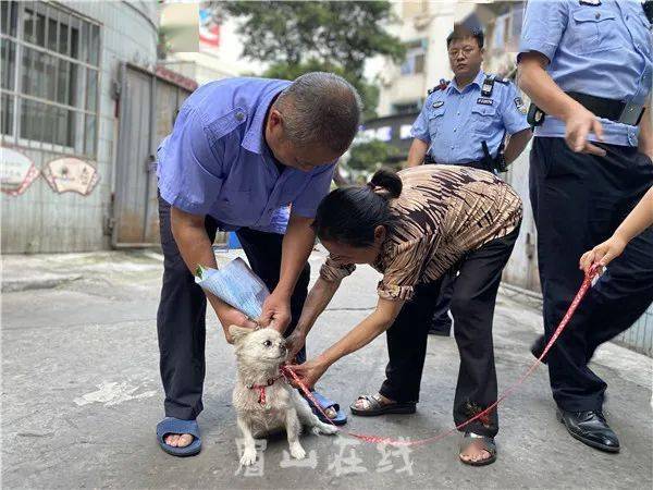 上班养串串狗好不好养_邯郸市养狗投诉热线_养两只狗要几个狗厕所