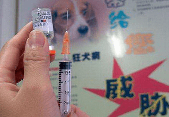带狂犬病毒的狗能活多久_狂犬病 病狗_被狂犬狗咬了怎么办
