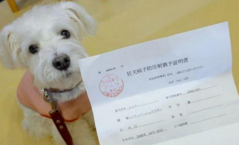 狂犬病 病狗_狂犬惊魂里的狗_狂犬症的狗有什么症状