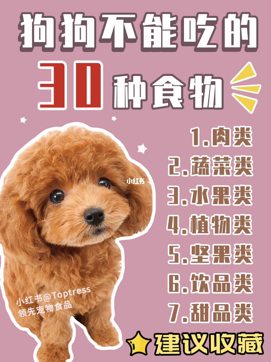 养什么狗有档次_有小孩养猫咪注意事项_家有小孩养狗注意事项