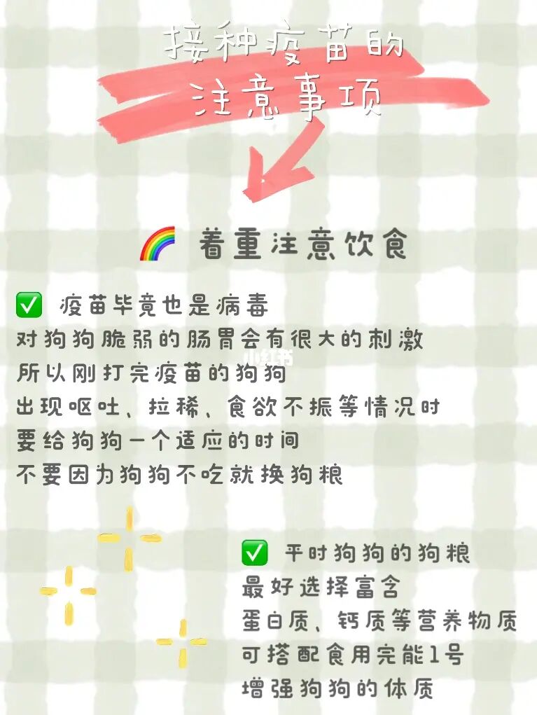 养什么狗有档次_有小孩养猫咪注意事项_家有小孩养狗注意事项