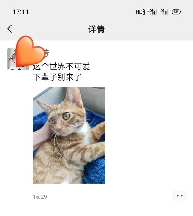 我叫李察德，是一个猫咪(牛年)(组图)