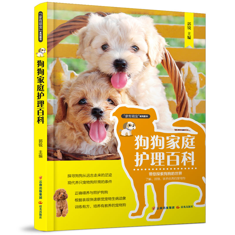 新手养什么狗最好，要聪明的狗_学生如何养狗_泰迪狗茶杯狗好养吗