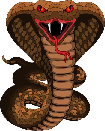蛇毒丸 印度毒蛇咬伤的原因及紧急处理方式让人叹为观止论文