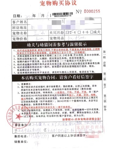 宠物店卖病狗怎么办_二桥宠物市场病狗_厦门宠物店卖病狗