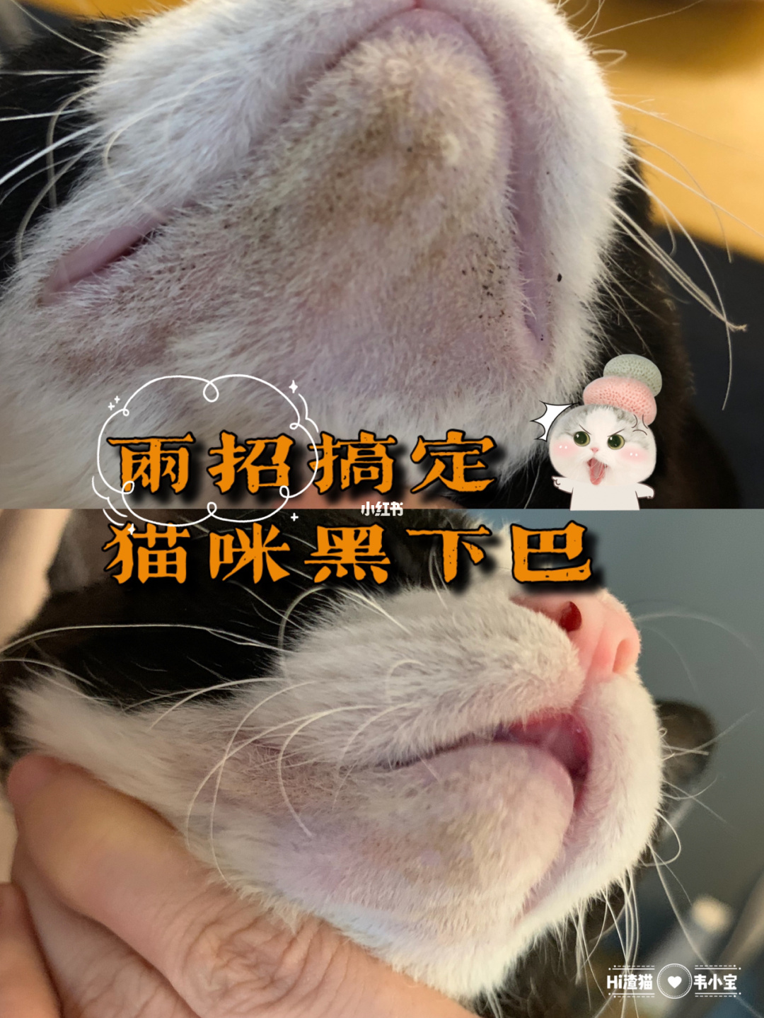 中兽医治狗猫病看什么书_快穿攻略病娇男主黑化中书包网_中兽医治狗猫病看什么书