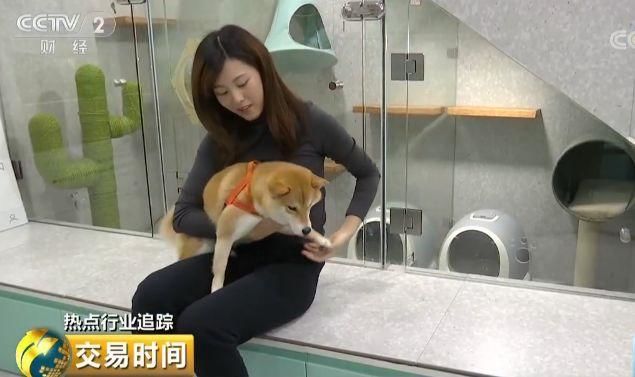 018年中国宠物（猫犬）消费市场规模达1708亿元'