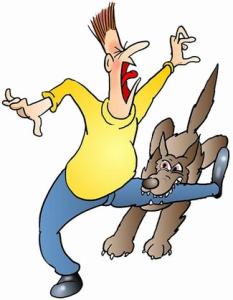 犬伤人孰之过？警方呼吁市民文明养犬