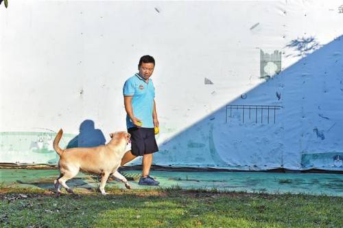 深圳超100家训犬机构受训训训练40天(图)