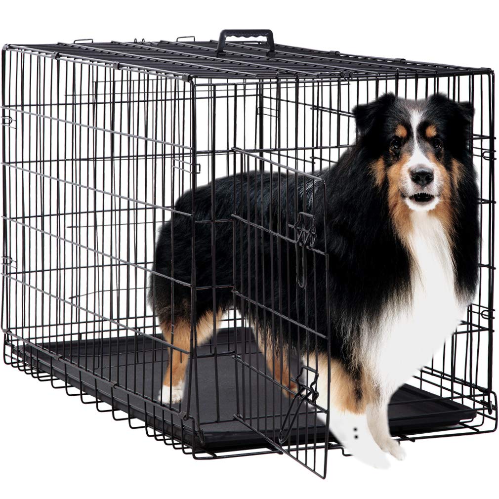 每次狗狗回笼都像让它去坐牢？做好笼内训练，狗狗从此把笼子当家