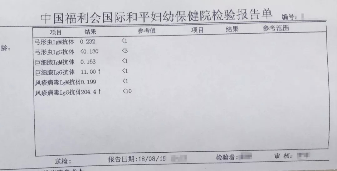 备孕和怀孕期间就不能养宠物？养猫狗肚子里的胎儿就会得弓形虫？