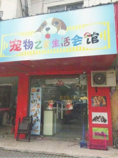 心疼买时承诺为健康小狗买回来一天就病了(组图)