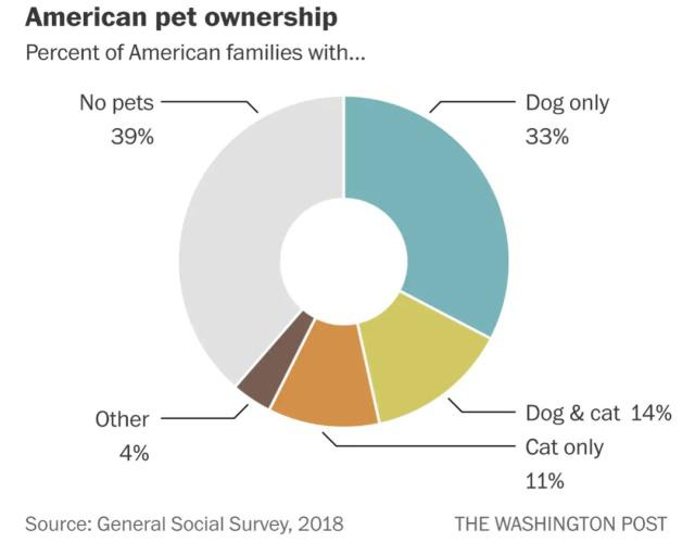 养狗好还是养猫好？养宠物的人越来越多