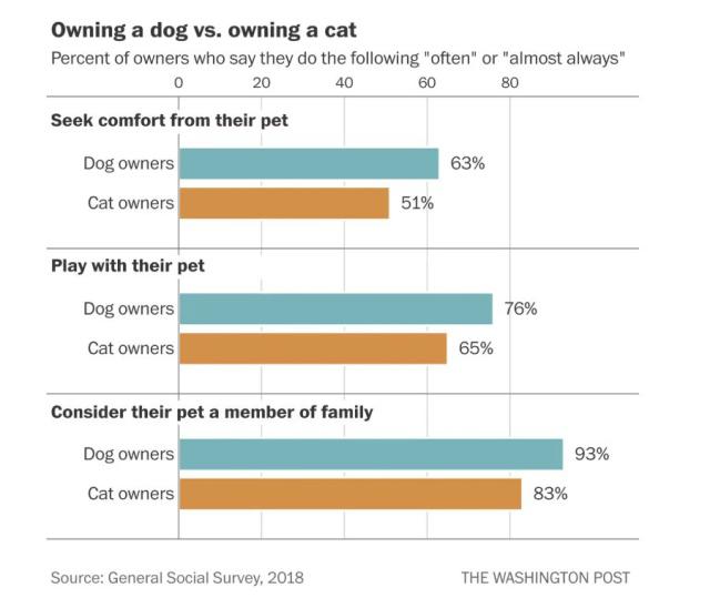 养狗好还是养猫好？养宠物的人越来越多