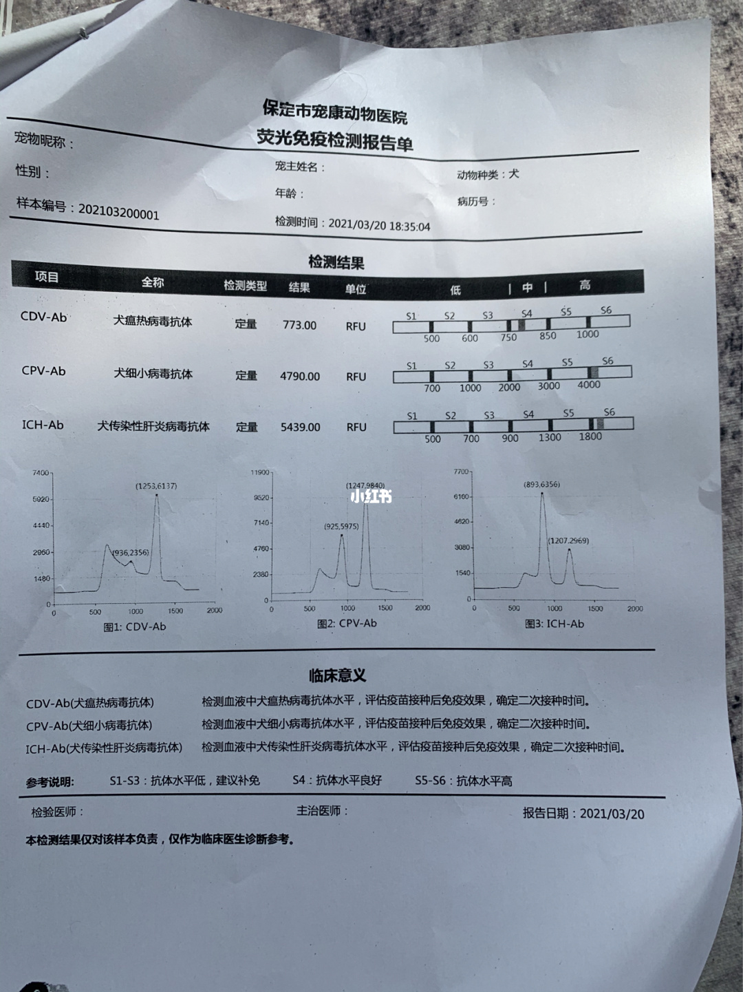 宠物店卖病狗怎么办_宠物店病狗特征_宠物店买到病狗怎么办