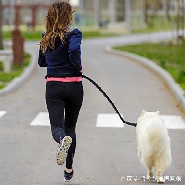 养狗好还是养猫好，你同意吗？（一）
