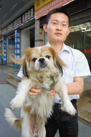 厦门宠物店卖病狗_病狗宠物店会怎么处理_成都宠物店病狗