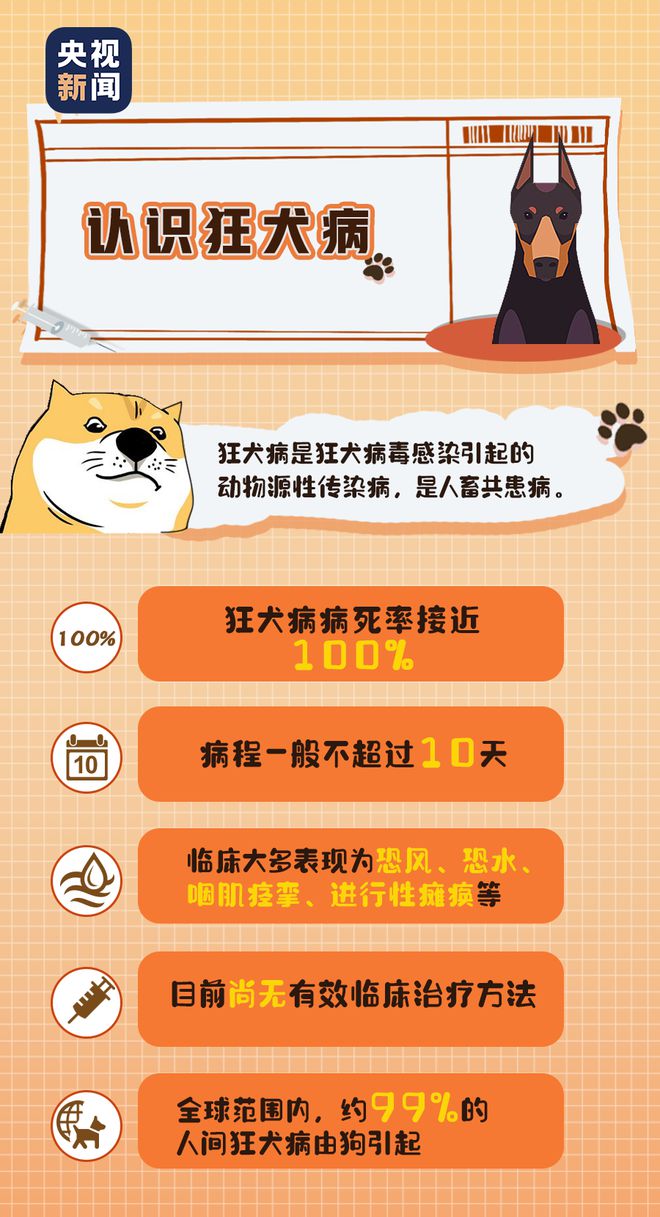 030年前消除人类因狗源狂犬病，如何正确接种疫苗呢？'