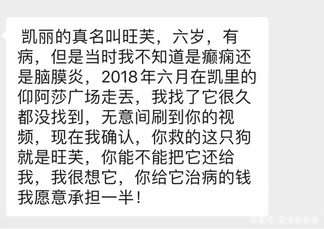 狗狗刚丢时，主人竟找上门来讨要，该不该还呢？