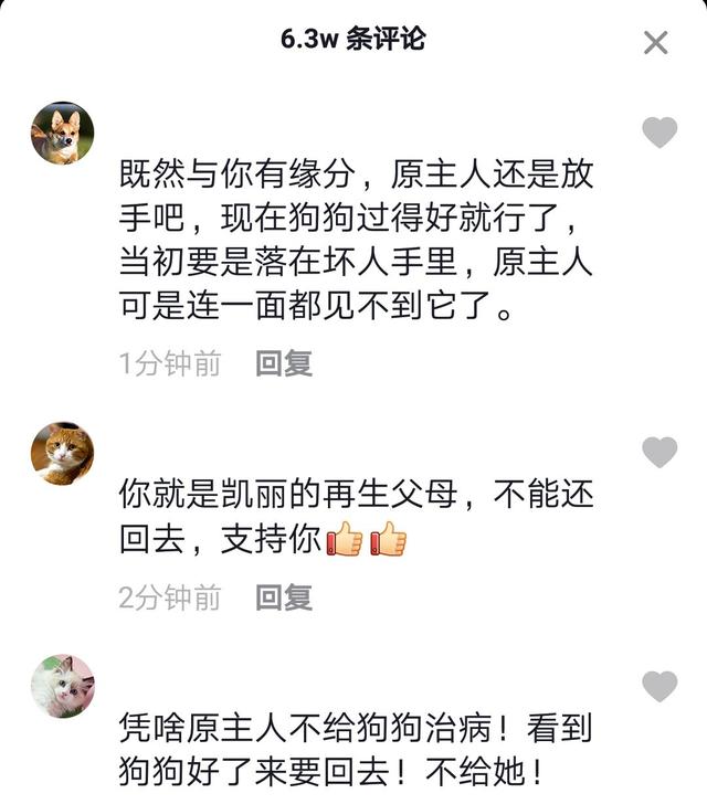 狗狗刚丢时，主人竟找上门来讨要，该不该还呢？