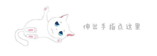 爱猫经常摔坏主人物品，铲屎官多次教育无效，学会三种方法不伤财