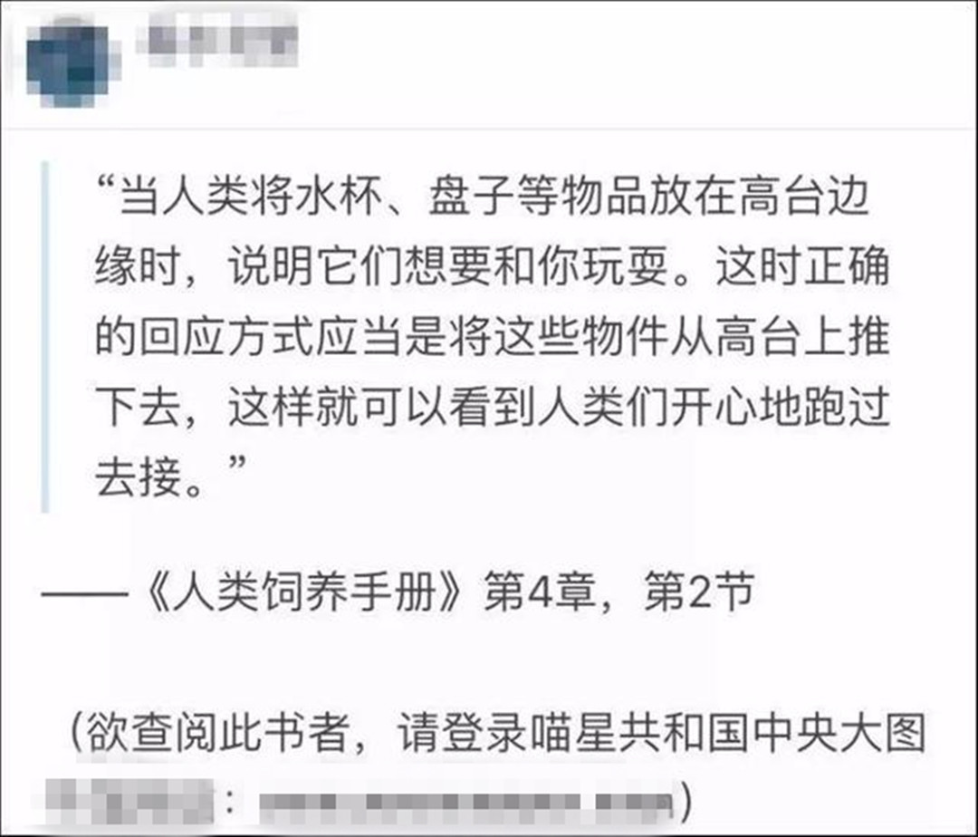 爱猫经常摔坏主人物品，铲屎官多次教育无效，学会三种方法不伤财