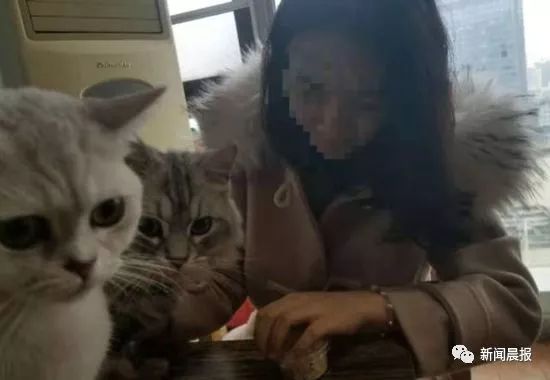 输给一只狗？00后花400元给爱犬美容，却舍不得花30元给男友理发……