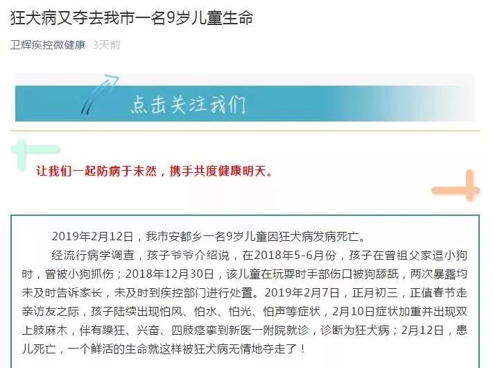 岁男童被狗舔舐40天死亡原因是狂犬病'