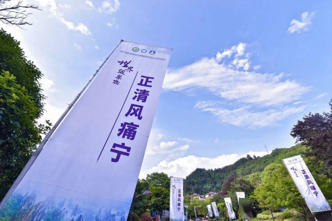 世界中医药学会联合会病专业委员会2021年学术年会暨第十三届国际与疼痛三联序贯疗法高峰论坛