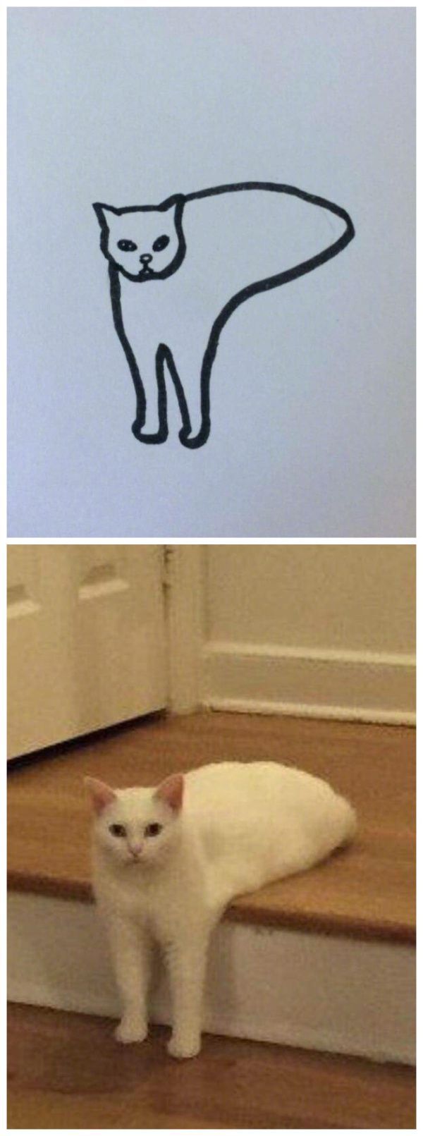 【贫民窟养猫少女喵】独家原创禁止一切搬运、抄袭、洗稿等行为