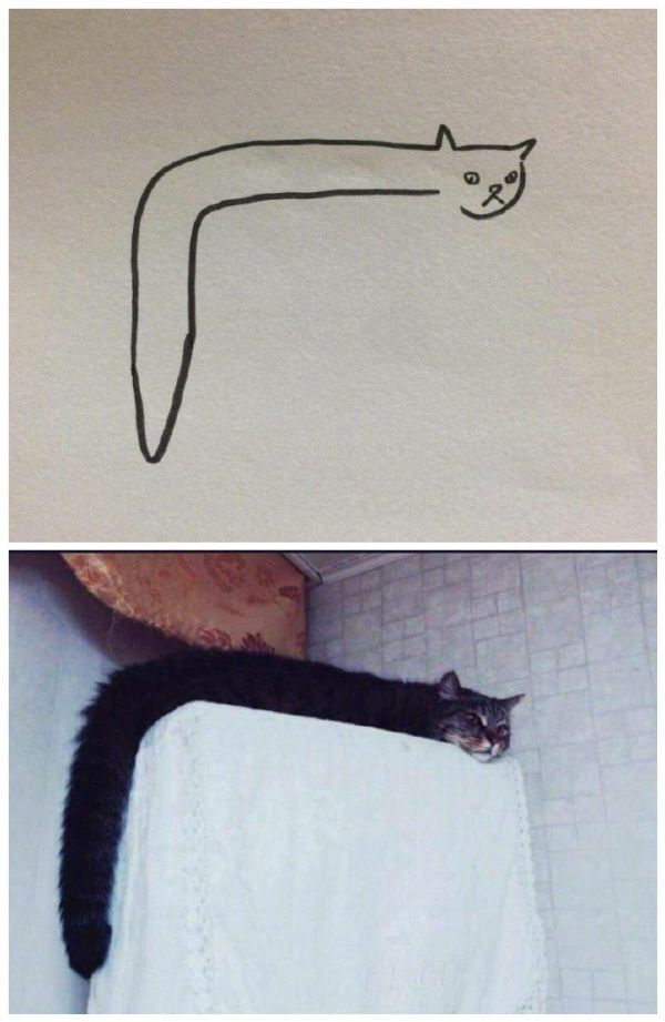 【贫民窟养猫少女喵】独家原创禁止一切搬运、抄袭、洗稿等行为